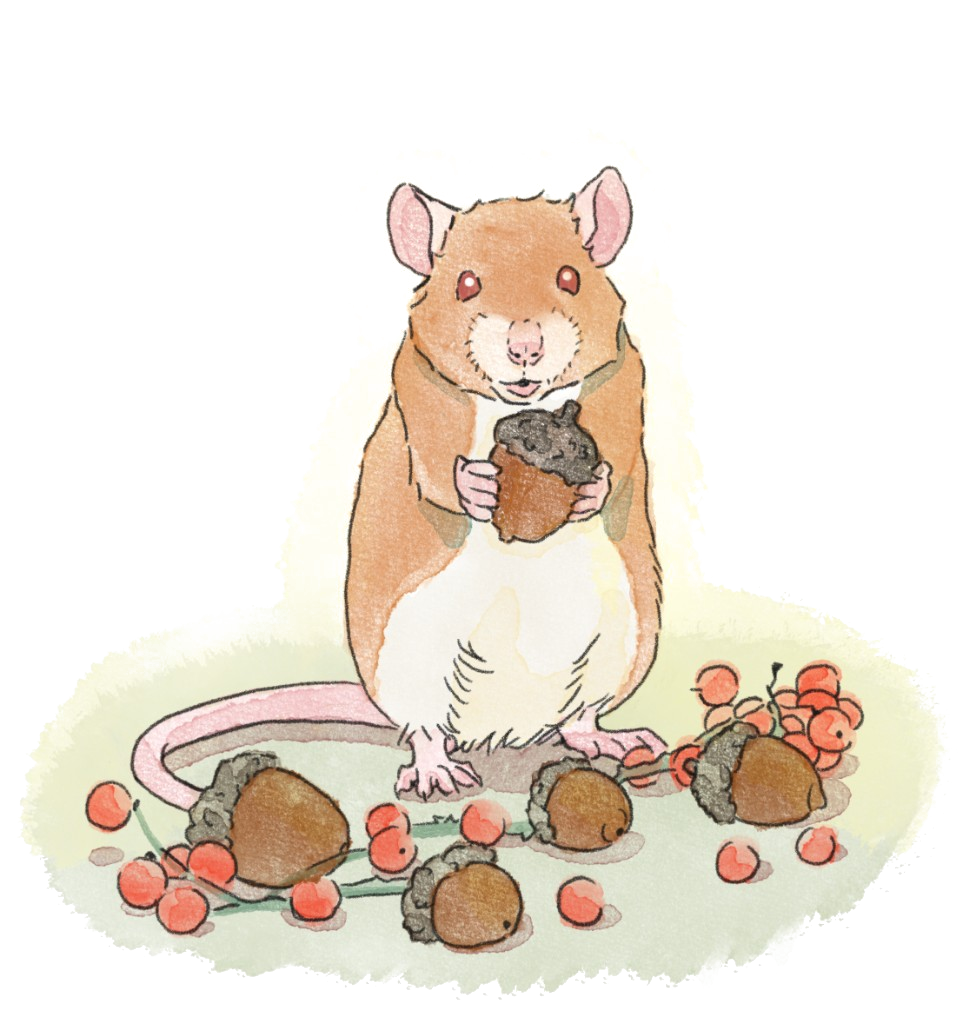 Illustration from The Keeper of Little Things